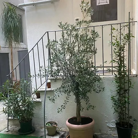 Urban Oasis, Home-triest Com شقة ترييستي